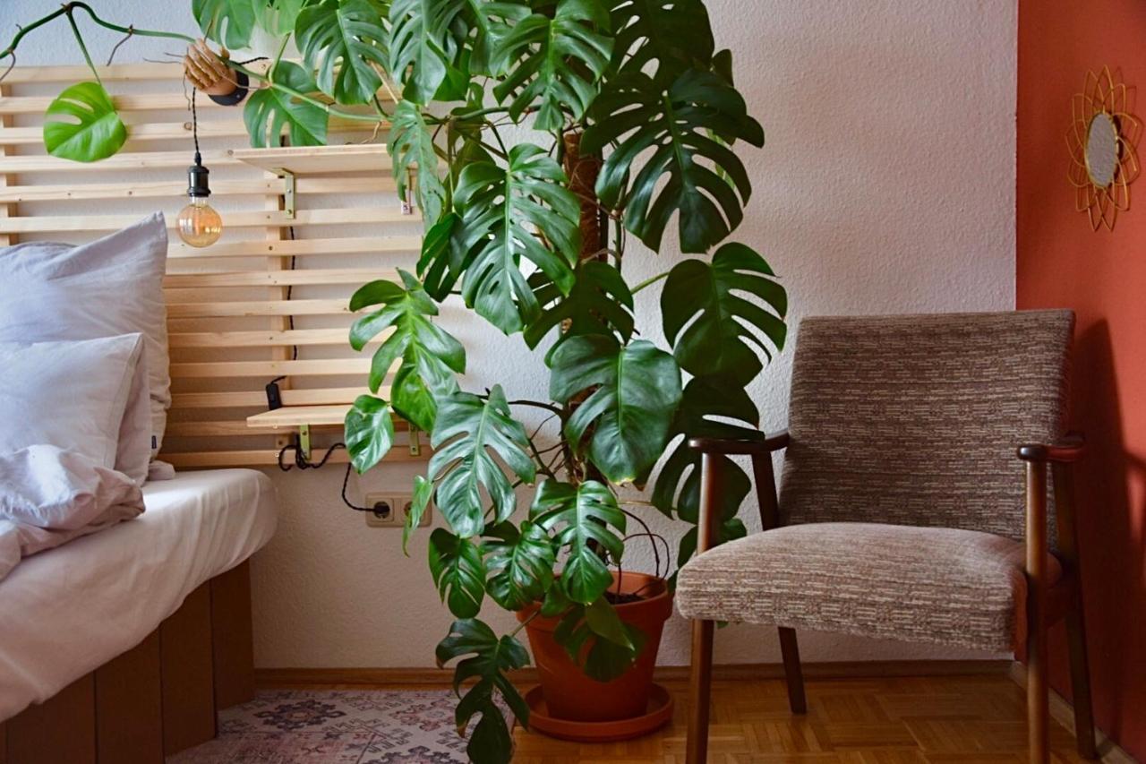 Greenbnbs: Cozy Urban Jungle In The City Centre Эссен Экстерьер фото