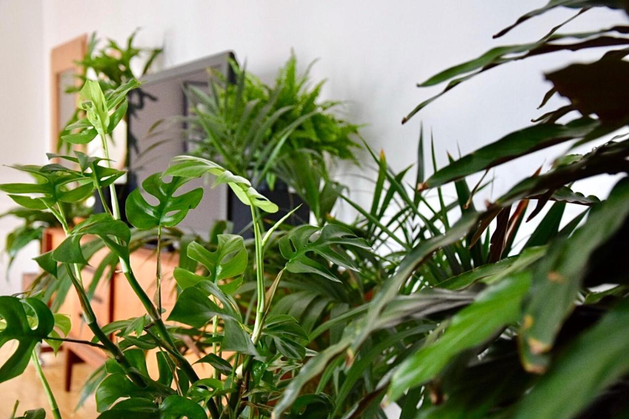 Greenbnbs: Cozy Urban Jungle In The City Centre Эссен Экстерьер фото