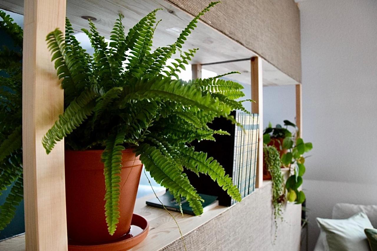 Greenbnbs: Cozy Urban Jungle In The City Centre Эссен Экстерьер фото